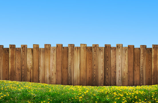 beautiful backyard with wooden fence
