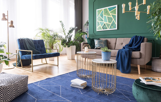 Green And Blue Living Room Interior Design With Rug, Coffee Tables And Comfortable Furniture