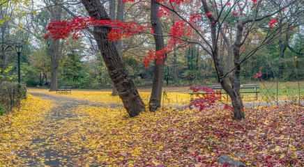 Central Park, New York City in autumn