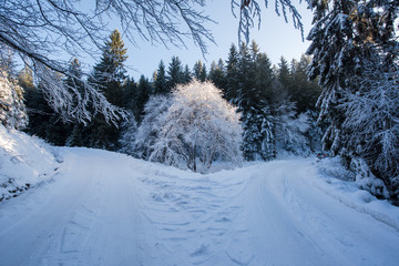 winter road