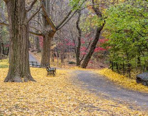 Fototapeta na wymiar Central Park, New York City in autumn