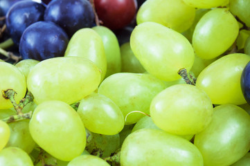 tasty grapes branch closeup