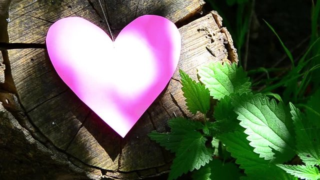 heart true love