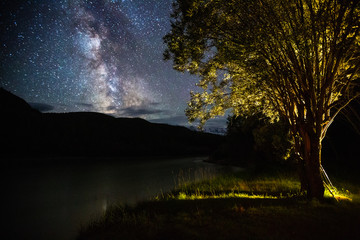 Fototapeta na wymiar Night sky with stars and The Milky Way Galaxy and higlighted tree on the coast of river of Chuya. Altai, Russia