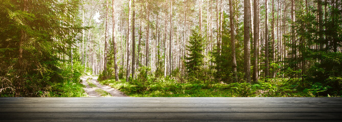 Forest and road