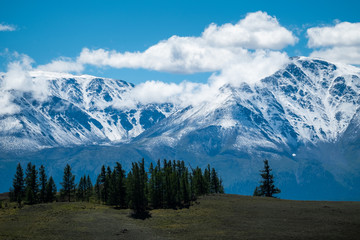 Fototapeta premium Mountains covered with snow. Northern Chuysky Range, Altai, Russia