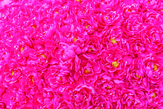 Artificial flowers is maked by hand. It's decoration