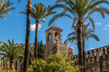 Obraz premium From below of green palms with beautiful medieval stone tower of Alcazar palace against blue sky in Corodoba, Andalusia, Spain