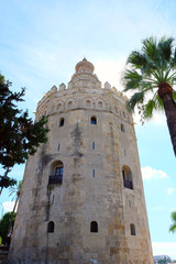 Fototapeta na wymiar Tower of Gold, Seville