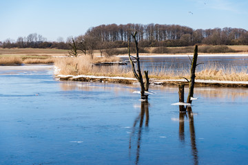 Binnensee im Winter mit leichter Eisdecke