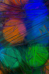 Christmas colorful lights trough icy window bokeh background for graphic and web design, Modern simple internet concept. Trendy for website design web or mobile app