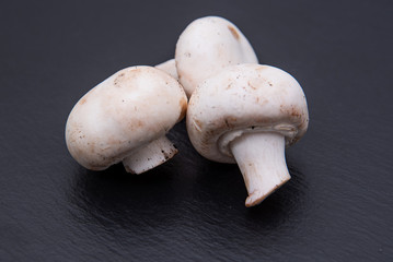 Button mushrooms on dark background