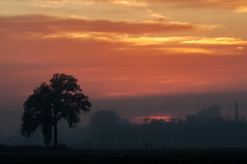 Fototapeta na wymiar Sunrise in the countryside