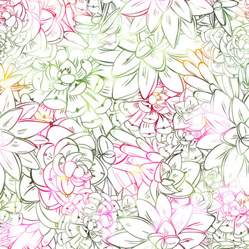 Seamless sucullent pattern. Color line art beautiful background