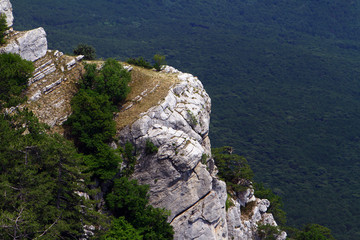 Trees, forest on mountain cliff - pretty photo of nature