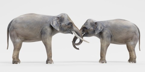 Fototapeta premium Realistic 3D Render of Asian Elephants