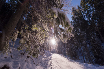 winter road