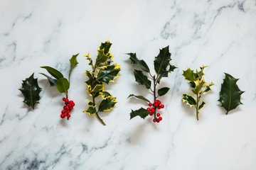 Christmas layout made from festive holly leaves on a white marble background