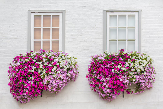 White facade with windows and flowers in flower boxes