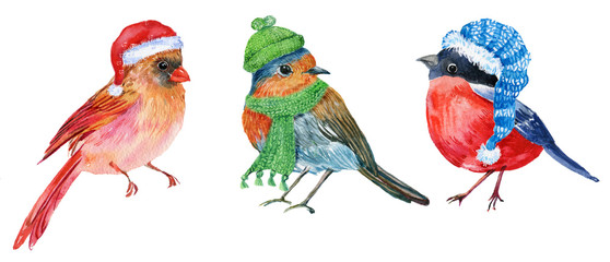 Three little birds in Christmas hats,Robin,red cardinal,bullfinch.Watercolour illustration