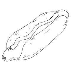 Vector illustration of hot dog with sausage and ketchup. Sausage in a roll. Eating fast food. Hand drawn hot dog with sauce.