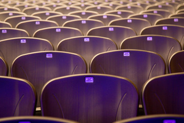 Fototapeta premium Empty comfortable chairs seats with numbers in hall