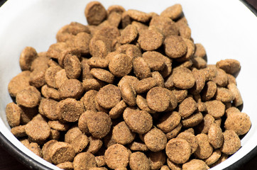 Bowl with dog food