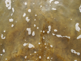 Frothy Sea Water, Foam Appears Above Saltwater