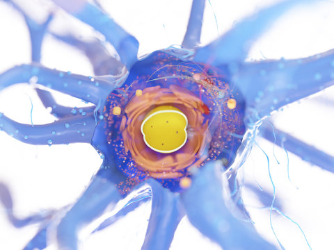 3d rendered medically accurate illustration of a nerve cell cross-section