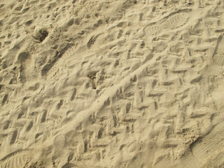 Motorcycle Trails and Human Footprints on a Sandy Beach