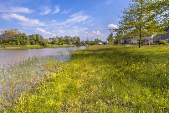 Ecological riverbank