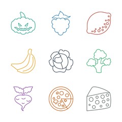 9 vegetarian icons. Trendy vegetarian icons white background. Included line icons such as cheese, pizza, beet, broccoli, cabbage, banana, lemon. vegetarian icon for web and mobile.