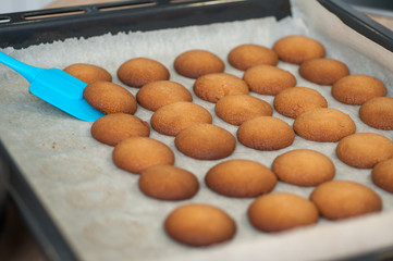 homemade shortbread cookies on a baking sheet