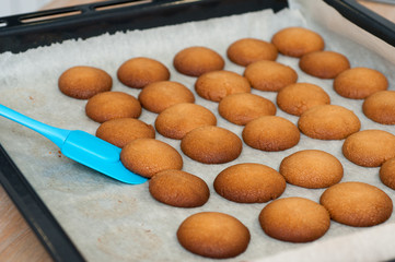 homemade shortbread cookies on a baking sheet
