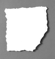 torn paper background with space for your message