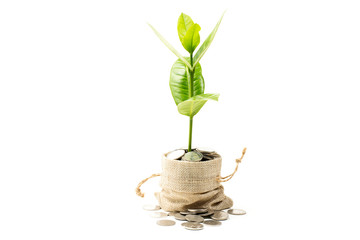 Investing, investing, investing and saving money with coins and deposits in the bank's concept. Pre-investment planning