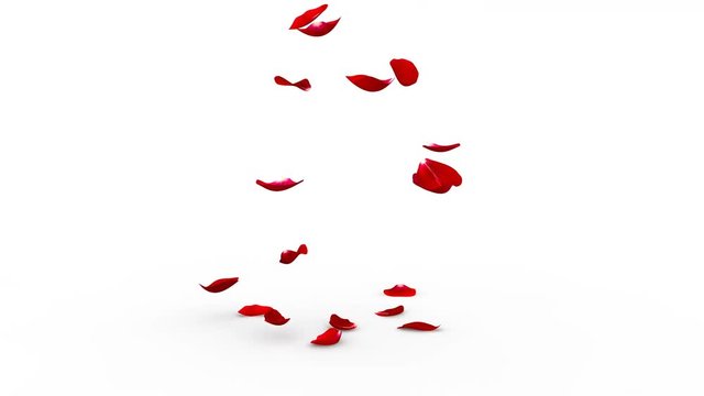 Red rose petals flying on the floor on both sides. Alpha mask included. Quality 4K video