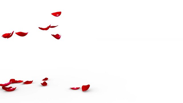 Red rose petals flying on the floor on both sides. Alpha mask included. Quality 4K video