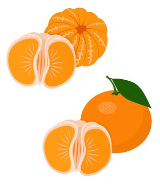 Mandarines, tangerine, clementine with leaves isolated on white background. Citrus fruit. Funny cartoon character. Vector Illustration