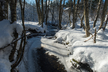 winter creek ice