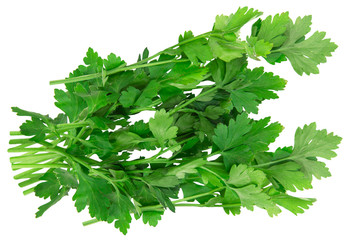 Fresh green parsley leaves isolated on white background