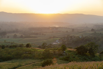 タイの高原ワンナムキアオの夕方の景色