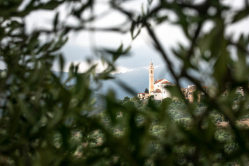 Ancient Ligurian church view through Olive tree branches