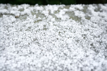 Freezing granulated hail ice crystals, grains in hands after strong hailstorm in autumn, fall. First snow in early winter. Cold weather. 