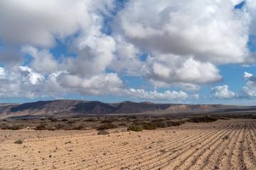 Plowed field, Lanzarote Island, Canary, Spain