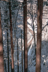 Straße im Winter im Wald