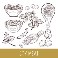 Soy meat. Plant. Bowl, spoon with pieces, tofu. Soybeans,  pod. Sketch. Monophonic. Set.