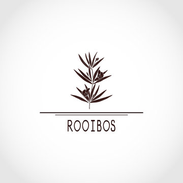 Rooibos. Leaves, Flower. Monophonic. Black Silhouette, Text. Logo, Emblem, Sign, Symbol.