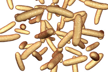Bacteria Citrobacter, Gram-negative coliform bacteria from Enterobacteriaceae family, 3D illustration. They are found in human intestine and can cause urinary infections, infant meningitis and sepsis