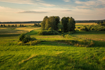 Landscape with masurian meadows near Banie Mazurskie, Masuria, Poland